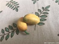 DIY教程图解教你如何制作仿真软陶香甜芒果